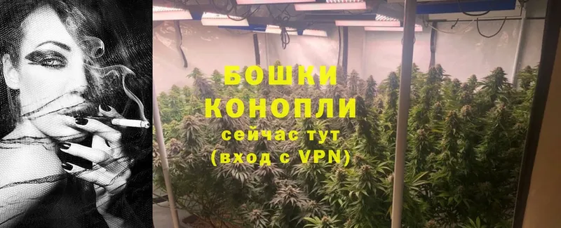 Канабис SATIVA & INDICA  Белёв 